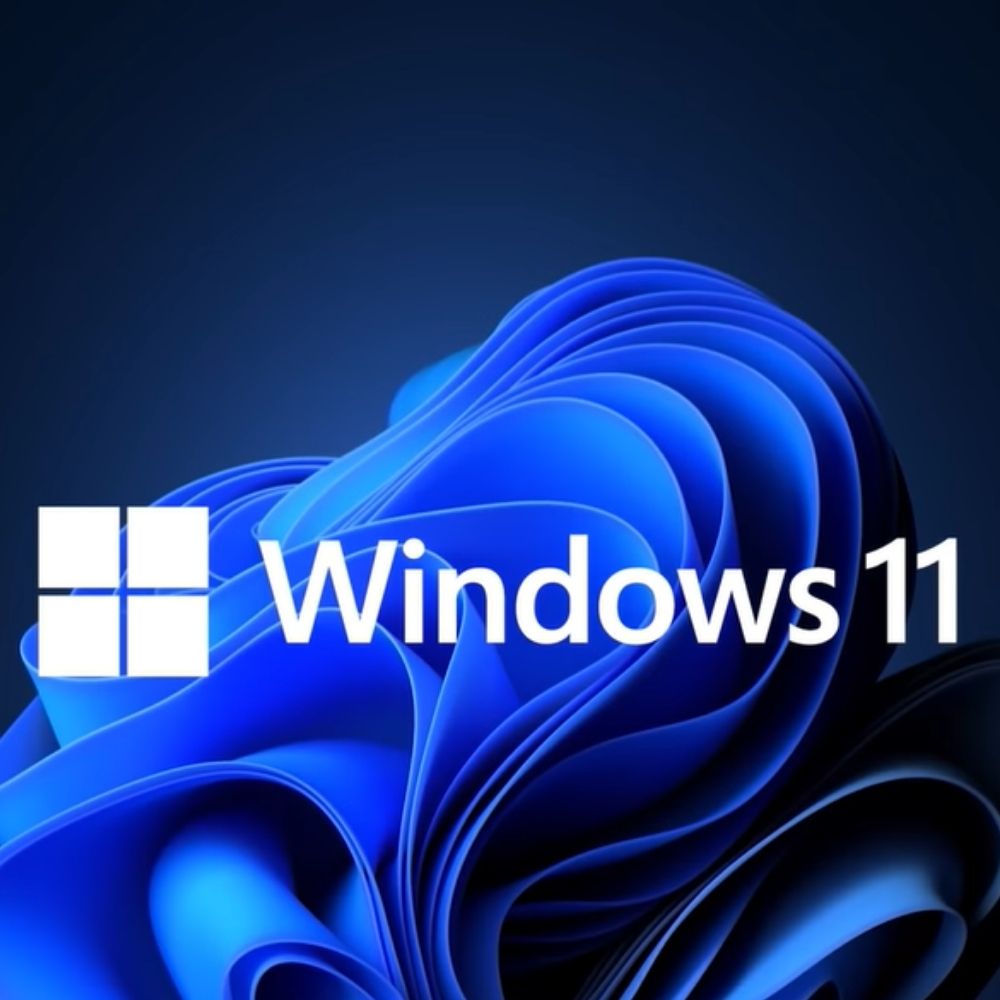 windows 11